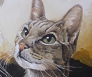 Katzen Portrait Malerei
